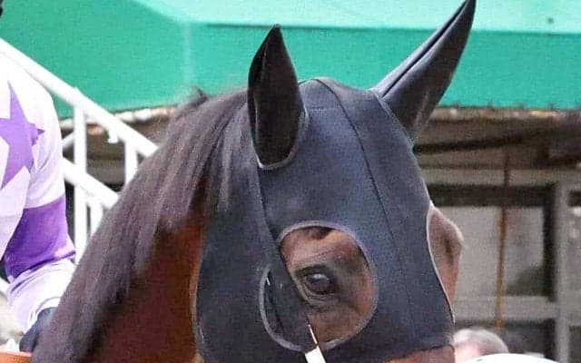 ダイオライト記念を制したオディロンの優勝報告会が開催　森沢友貴調教師「今でも感動がよみがえる」