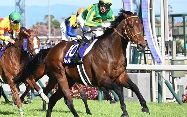 【高松宮記念・調教後馬体重】サトノレーヴは530kg、ナムラクレアは490kg