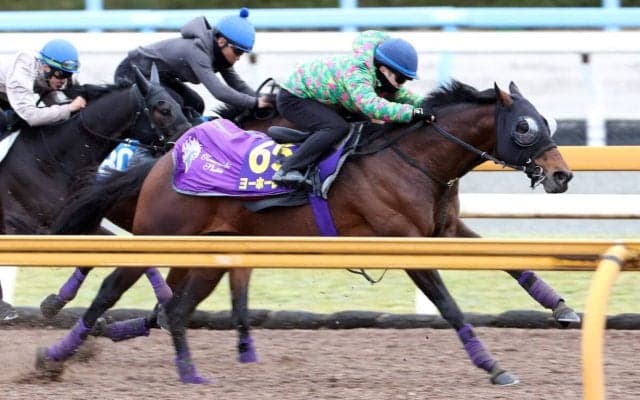 【大阪杯・１週前】昨年３着と好走！友道調教師が「阪神は条件的に合う」と太鼓判の８歳馬ヨーホーレイクは衰えなし