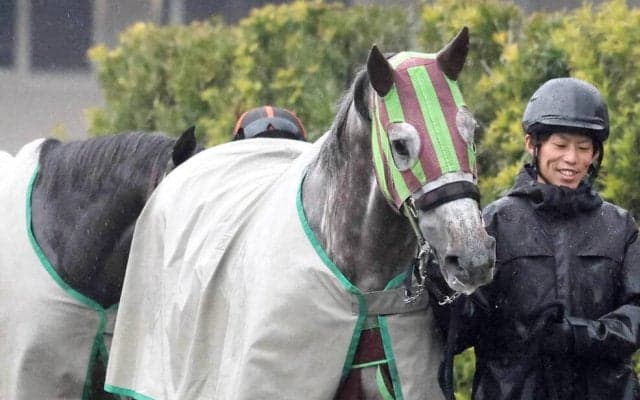 【Ｇ１トク捜リレー】荒れる高松宮記念　予想デビューのオールドルーキー記者が食指動く穴馬は？　滑り込み出走の５歳馬