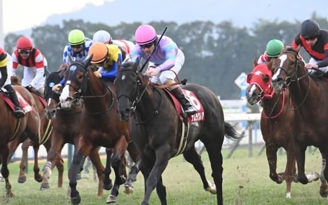 ナムラクレアと一番多く対決した馬は？ 高松宮記念でラストラン予定