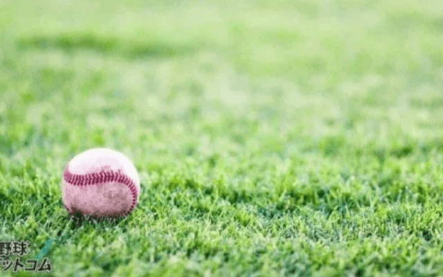 小林西が延岡学園をタイブレークで破って8強入り！春季宮崎大会【26年春高校野球】
