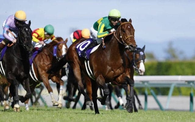 【高松宮記念】サトノレーヴは530kg…出走馬調教後の馬体重