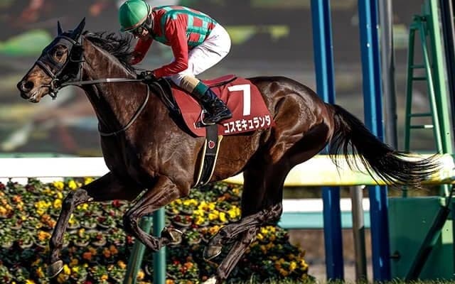 【日経賞枠順確定】コスモキュランダは4枠7番、マイユニバースは8枠15番