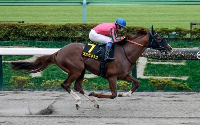 【マーチS枠順確定】オメガギネスは5枠9番、サンデーファンデーは8枠15番