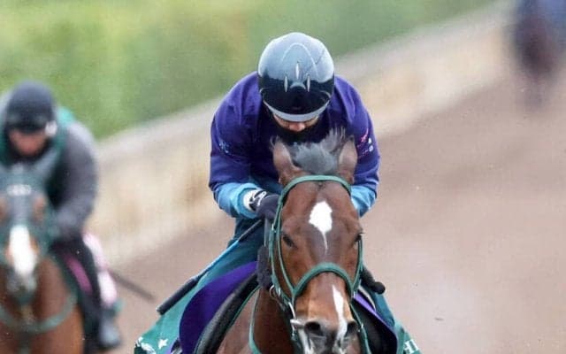 【高松宮記念】Ｇ１馬パンジャタワーは最内１番枠　橋口調教師「外よりは良かった。あとはうまく馬群をさばいてこられるか」