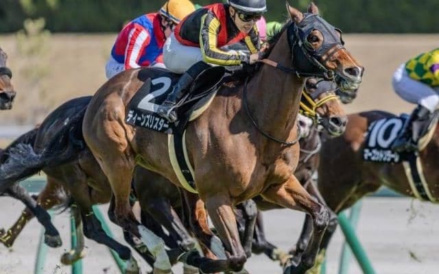 兄姉2頭は海外G1勝ち馬 ディーンズリスターが約4年ぶりの2勝目なるか