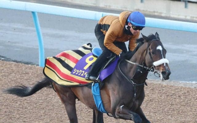 【注目馬動向】田中博康厩舎へ転厩のシックスペンスは読売マイラーズＣが最短の目標　キャロットクラブが発表