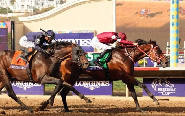 【ドバイワールドカップデー・まとめ】各レースの発走時刻や放送予定は？　フォーエバーヤングなど日本馬６頭が出走　