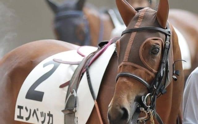 半姉は名牝シンハライト エンベッカが2勝目なるか