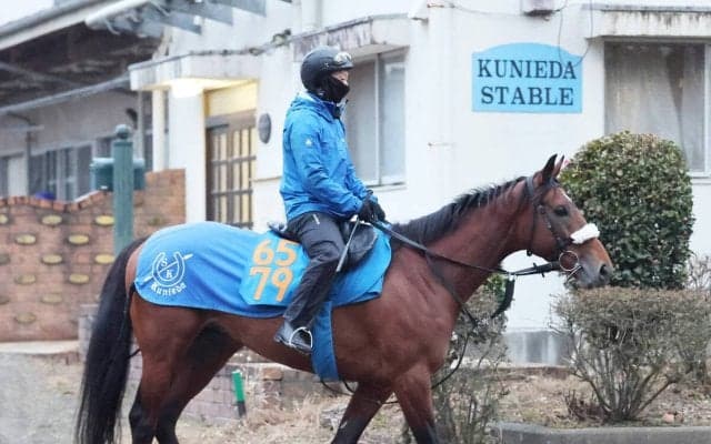 【注目馬動向】アーモンドアイの子アロンズロッド　転厩初戦の明石特別に向け来週栗東へ移動