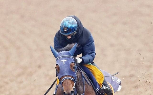 【注目馬動向】中山金杯４着のカネラフィーナは引き続き石川裕紀人騎手で福島牝馬Ｓへ　シルク・ホースクラブが発表