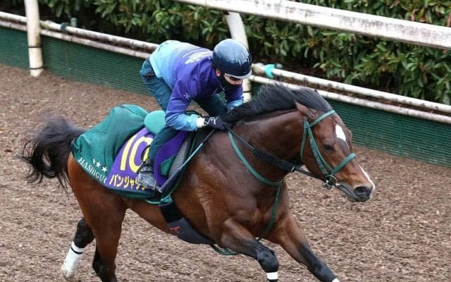 【高松宮記念・特選有力馬チェック】昨年のＮＨＫマイルＣ王者パンジャタワーは買うべき？　６つのポイントからチェック