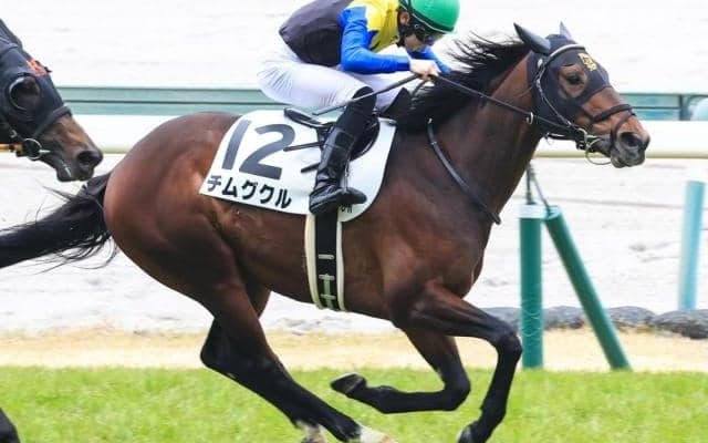 【仲春特別】半弟はダイヤモンドノット チムグクルが連闘で連勝なるか