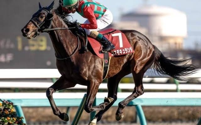 【今日の注目ポイント】中山で日経賞と阪神で毎日杯