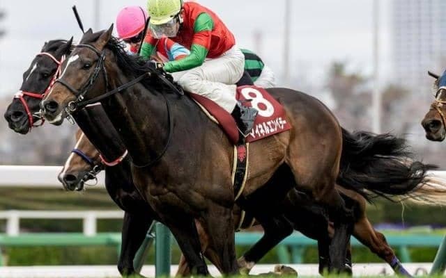 日経賞は人気馬が堅実 年齢別では4歳が好成績