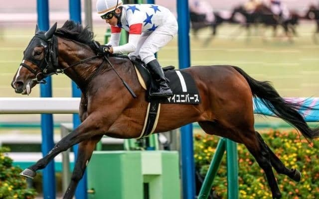 【日経賞予想】トリッキーな中山芝2500mだが実績重視で