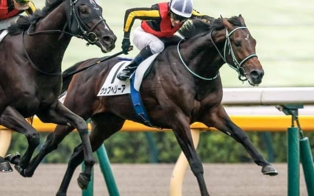 【毎日杯予想】皐月賞を占う最終便 総合力…たしかな末脚が勝負をわける