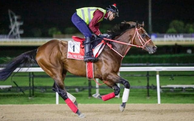 【ドバイWC】昨年の雪辱へ！6番ゲートから世界奪取へ、フォーエバーヤングが出陣