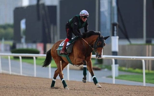 【ドバイシーマクラシック】世界最強カランダガンが降臨！主役揺るがず