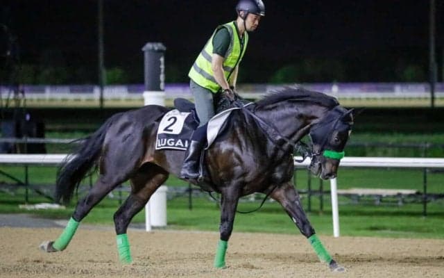 【アルクオーツスプリント】ルガルが世界の快速王へ挑戦…メイダン芝1200mでG1獲りへ