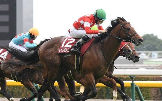 【競馬予想】高松宮記念で好成績を残している血統は？　今年最初の芝のＧⅠは人気薄の２頭に好走の気配