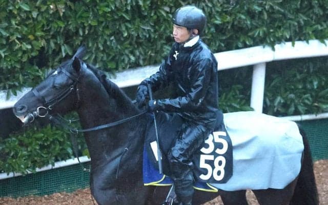 【注目馬動向】名牝クロノジェネシスの初子ベレシートは蹄の状態次第で京都新聞杯を視野