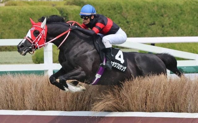障害オープンでも１０馬身差Ⅴにネット衝撃「案の定バケモン」「とんでもない新人」　障害転向２戦２勝のホウオウプロサンゲ