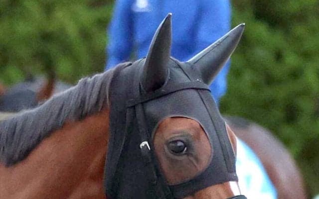 【中京１１Ｒ・マレーシアＣ】１番人気ルージュソリテールが完勝　西塚洸二騎手「注文をつけるところはないですね」