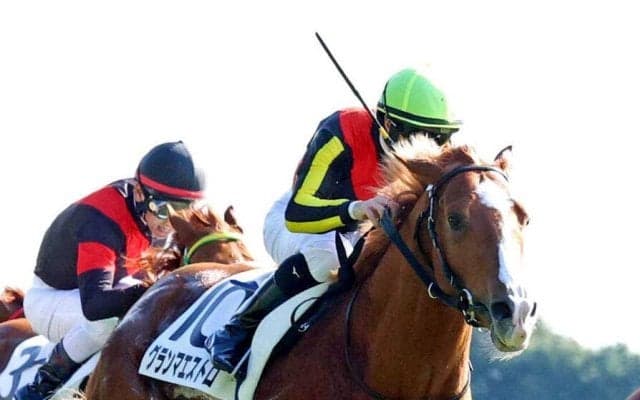 【注目馬動向】グランアレグリアの初子グランマエストロは４月２５日の東京競馬場の未勝利戦へ