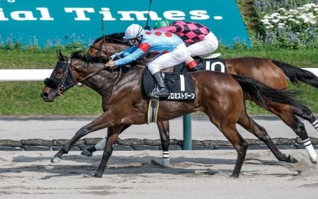 【園田・兵庫女王盃枠順】前走5馬身差Vのプロミストジーンは8枠9番