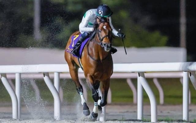 【船橋・京成盃グランドマイラーズ枠順】昨年のかしわ記念2着馬 ウィリアムバローズは8枠13番