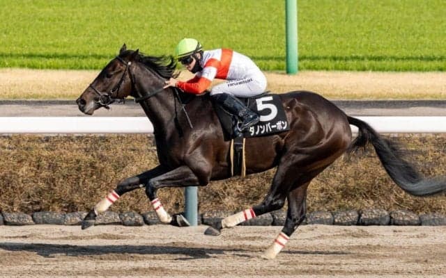 【伏竜S】ダノンバーボンが無傷の3連勝…ホリエモン愛馬は4着