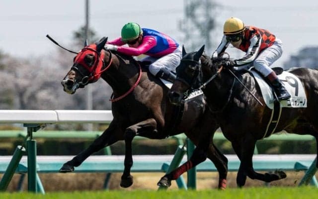 【中山6R】ディー騎乗 メイショウハチコウが抜け出す