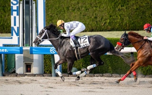 【阪神12R】武豊ギュルヴィが連勝