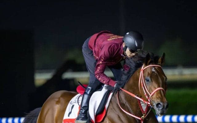【ドバイWCデー】フォーエバーヤング昨年の雪辱へ…直前まとめ＆見どころ、日本勢がメイダンで激突