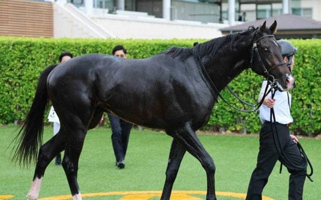 ドバイで皐月賞馬の産駒が驚きの重賞初制覇！大金星のワンダーディーンに競馬ファン「血統すごすぎ」「すごく痺れた」