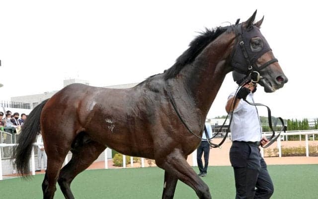 【ＵＡＥダービー】パイロマンサーは３着に敗れる　連勝は３でストップ　日本馬ワンダーディーンが勝利