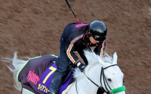 【ドバイ・ターフ】逃げたガイアフォースはゴール前で力尽き６着　昨年はソウルラッシュがＶ　