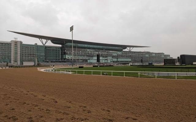 【ドバイSC結果】欧州最強馬カランダガンが差し切りG1・5連勝
