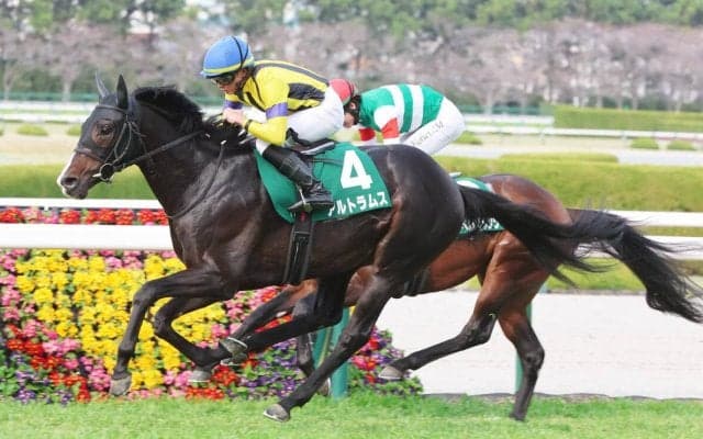 【毎日杯】上がり最速３３秒１の豪脚でアルトラムスが重賞初制覇　岩田望騎手「本当にいい内容」