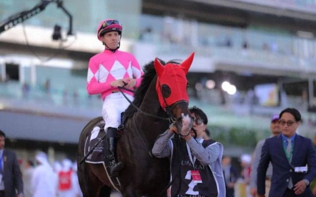 【UAEダービー】ワンダーディーンV…高柳師「もちろん行きたい」ケンタッキーへ直行示唆