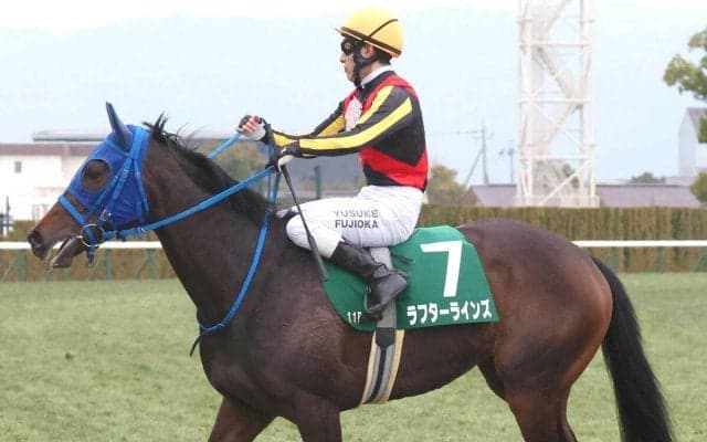 【注目馬動向】きさらぎ賞３着のラフターラインズはフローラＳへ　サンデーサラブレッドクラブが発表