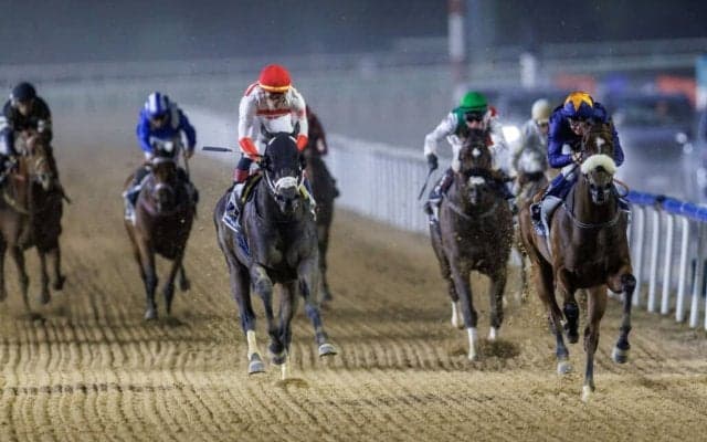 【ドバイゴールデンシャヒーン】地元ダークサフロンが連覇達成…ビーズリー「本来の状態に戻っていた」