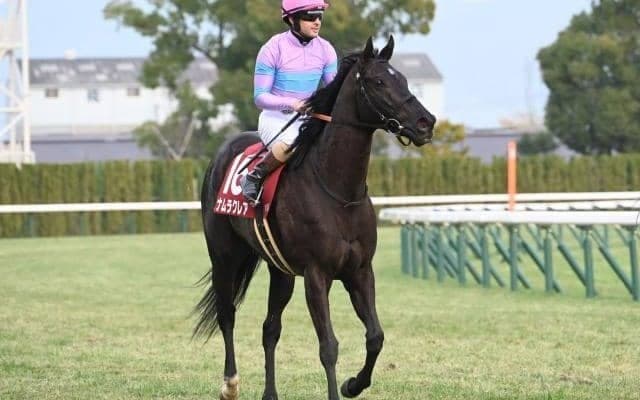 【高松宮記念・馬体重】ナムラクレアは476kg(-8)、サトノレーヴは530kg(-2)