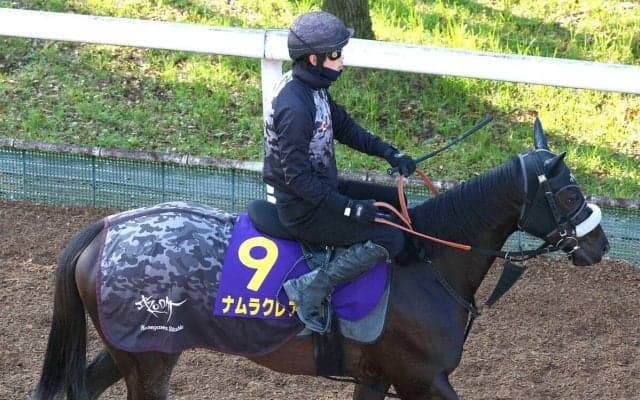 【高松宮記念】３年連続２着のナムラクレアは６着　浜中俊騎手「ものすごく申し訳ないです」有終のＧ１初Ｖならず