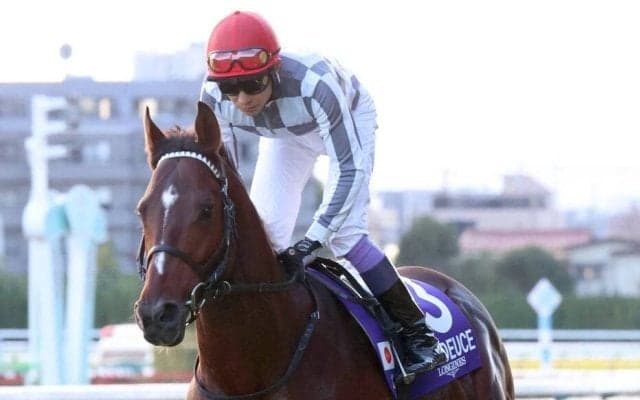 素直な感情が大きな反響呼ぶＳＮＳ…大ファンのドウデュースだからオフの面も伝えたかった