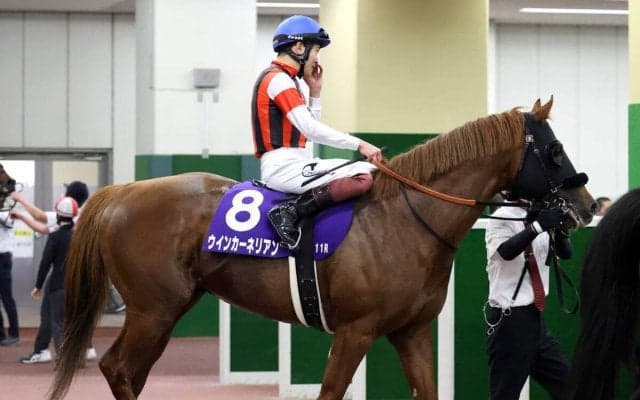 【高松宮記念】昨秋の短距離王　９歳ウインカーネリアンが健闘３着　三浦皇成騎手「サトノレーヴが本当に強かったです」
