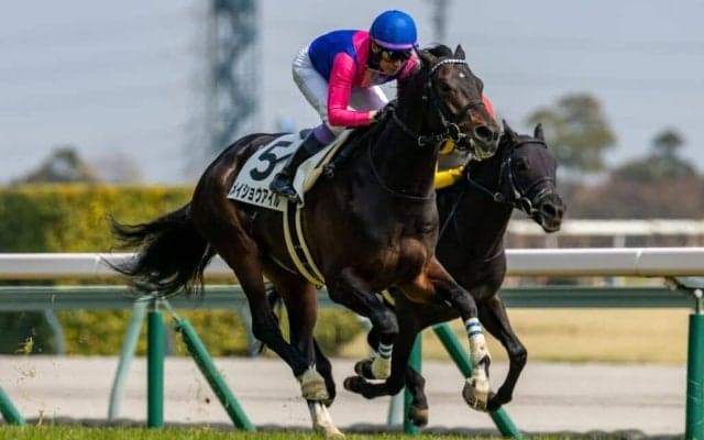 【中京6R】武豊メイショウアイルが抜け出す