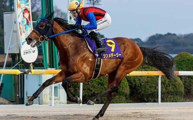 【佐賀・はがくれ大賞典結果】シンメデージーが押し切り連覇達成